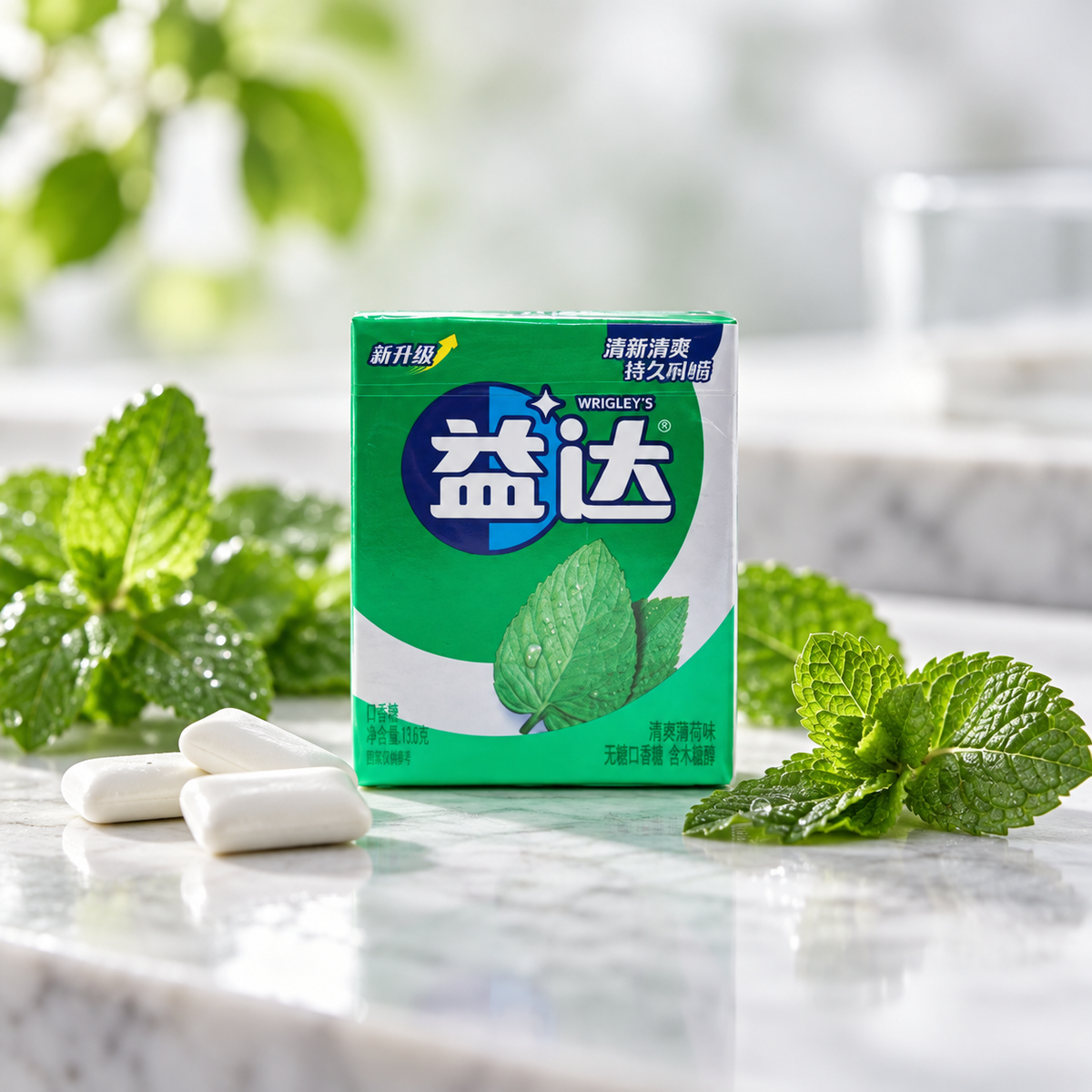 Extra Mint Chewing Gum, 12 Pieces (32g)